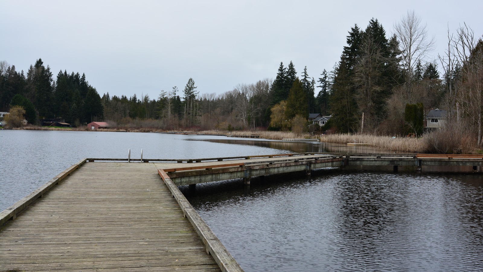 Cottage Lake shoreline docks and homes near Redmond, Washington, under a bright sky