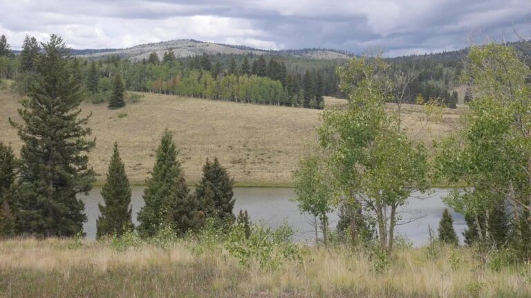 Hopewell Lake Campground and Day Use Close August 17 Through 2027 Rehab