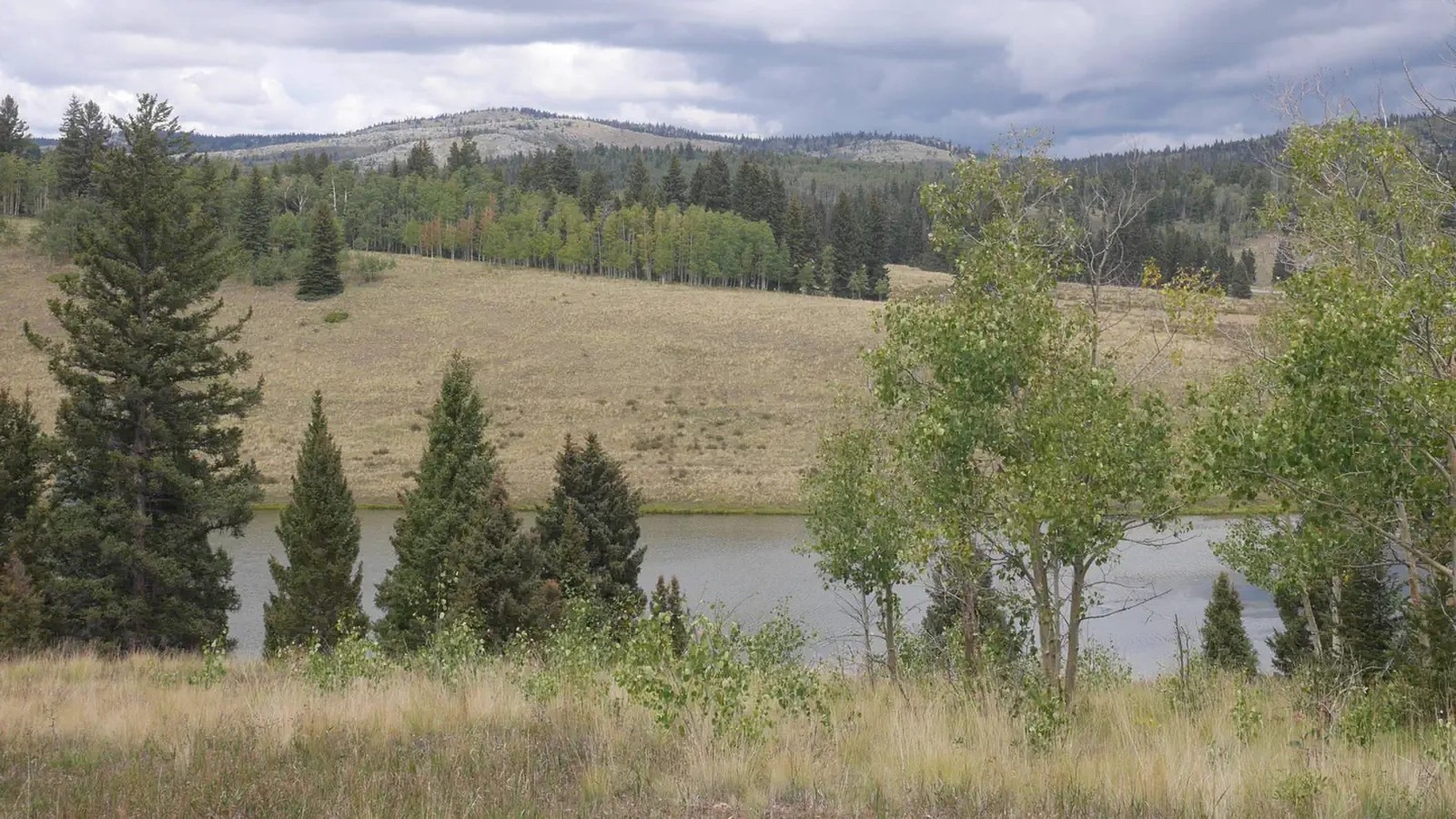Hopewell Lake shoreline and forest ridgeline at Hopewell Lake Campground in Carson National Forest