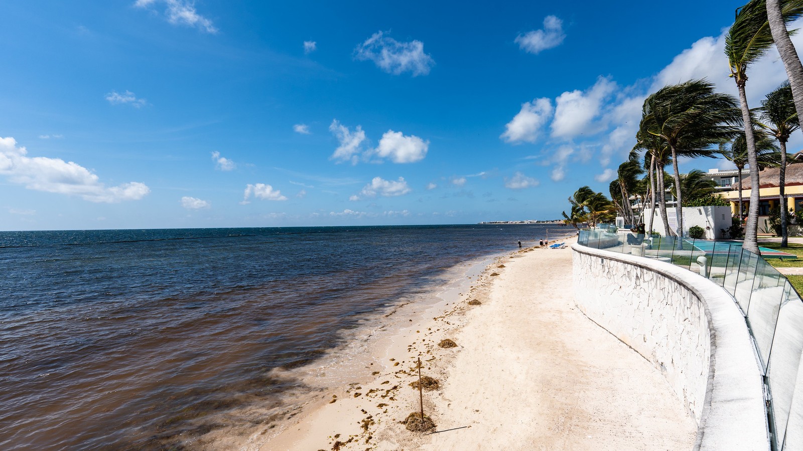 Beach and ocean view at Iberostar Selection Riviera Cancun, a participating Iberostar Beachfront Resorts property