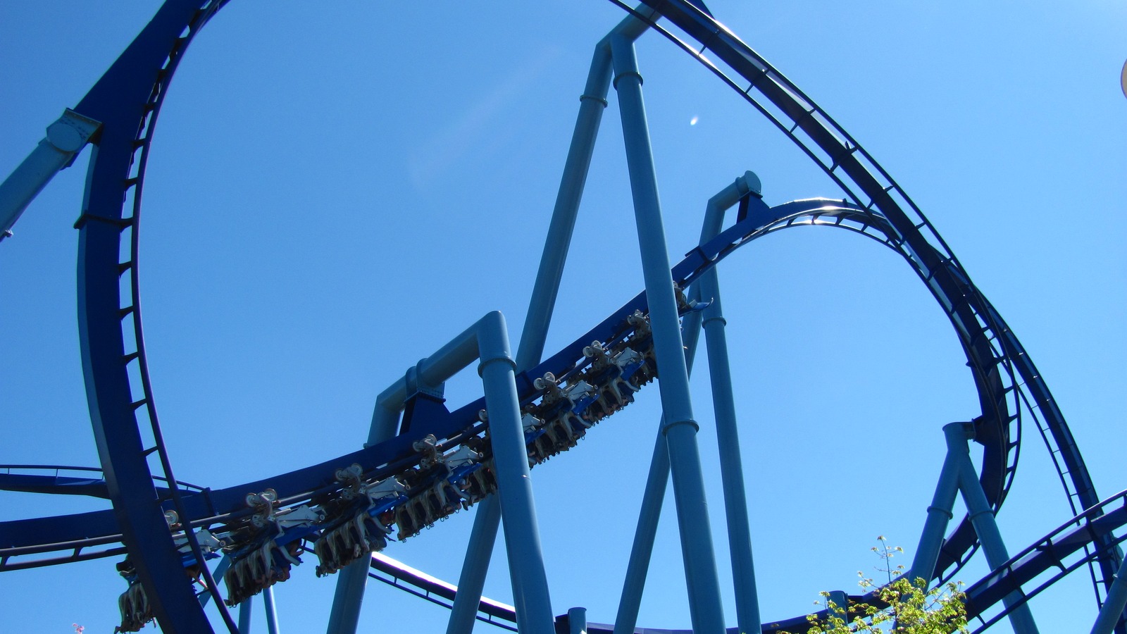 SeaWorld Orlando roller coaster and park scenery
