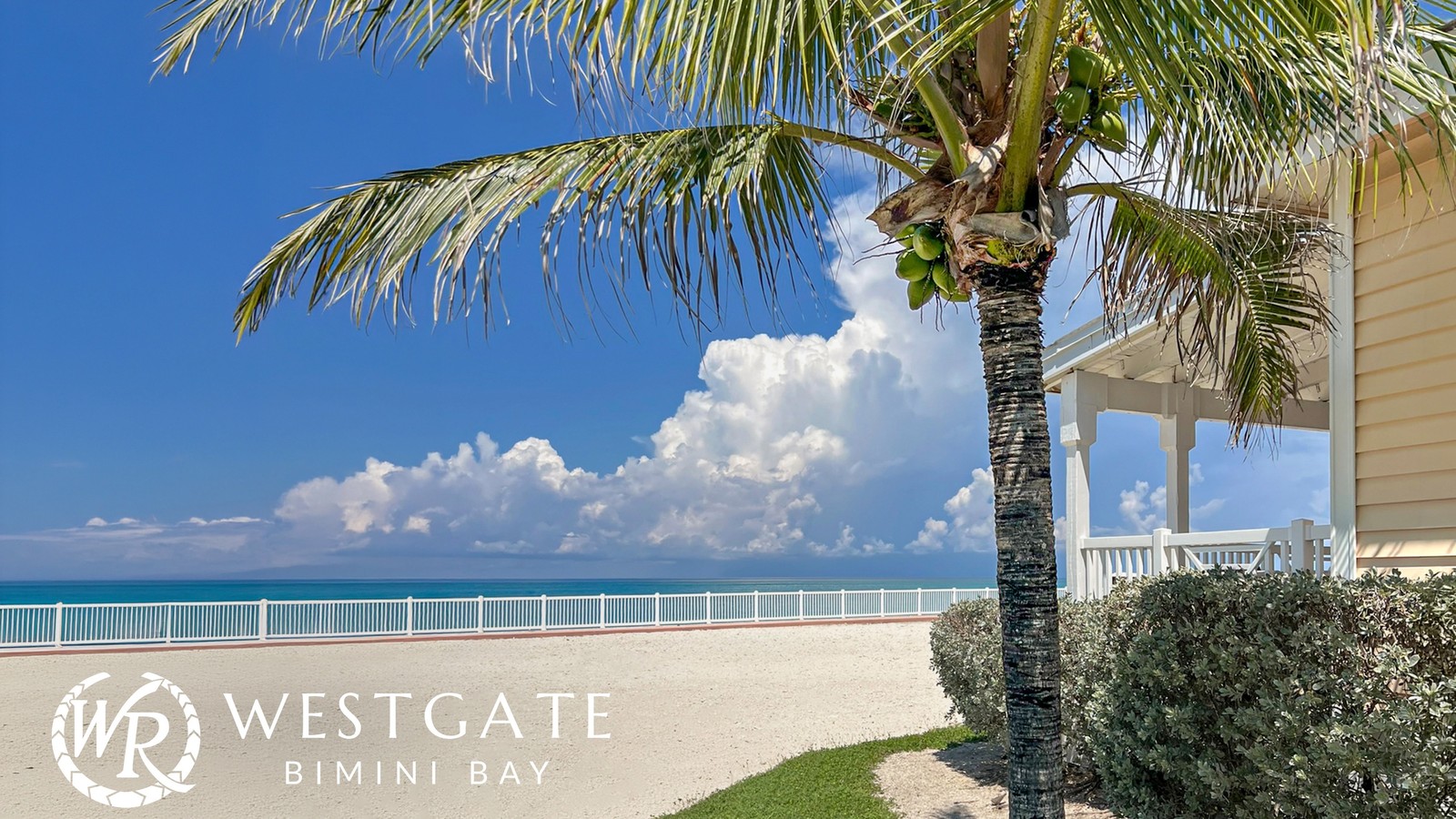 Westgate Bimini Bay beachfront villa path with palm tree and turquoise water under Westgate Bimini Bay mark