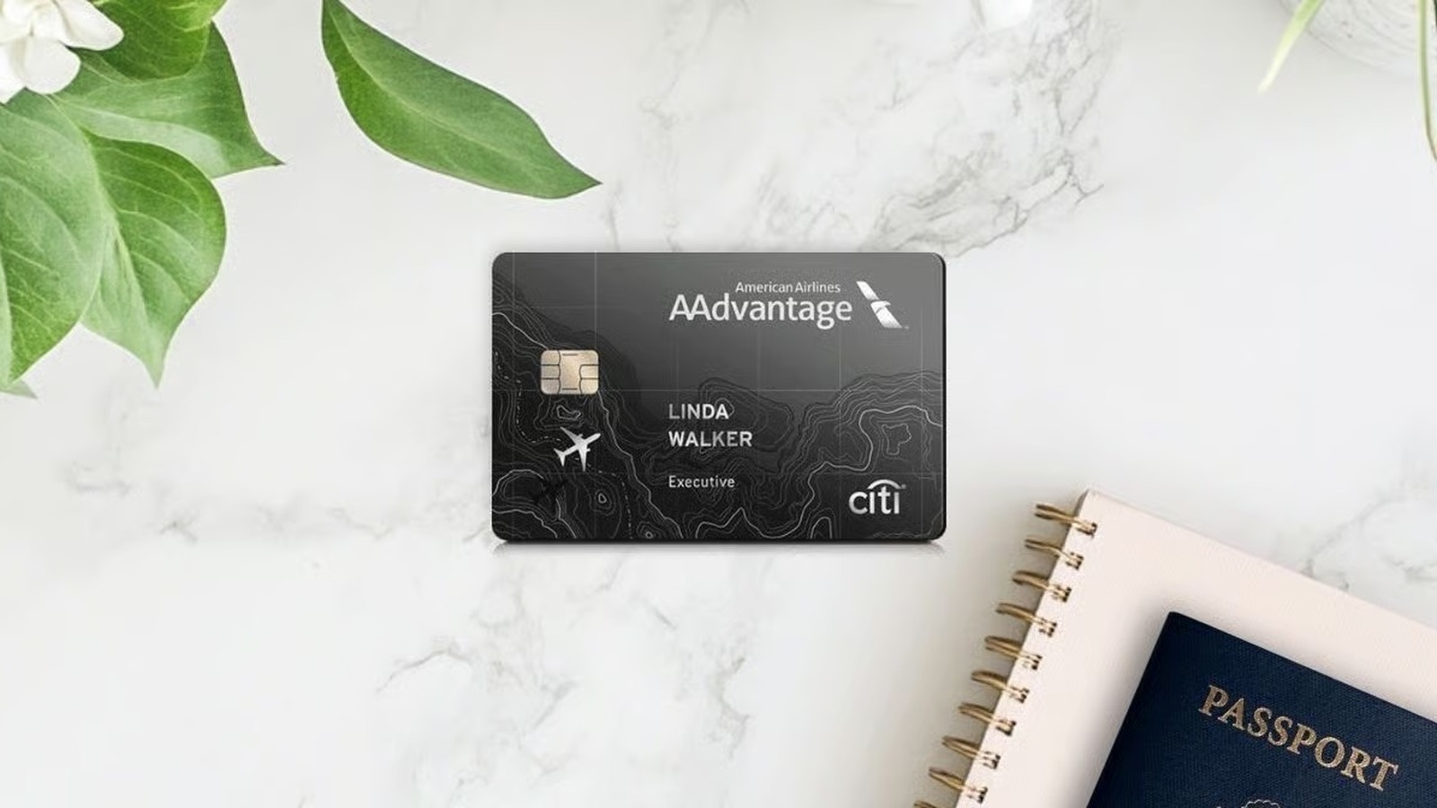 Citi AAdvantage Executive World Elite Mastercard product image