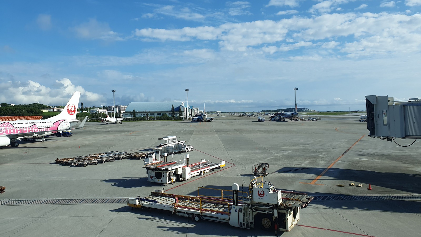 JAL aircraft and ground vehicles on the apron at Naha Airport in Okinawa