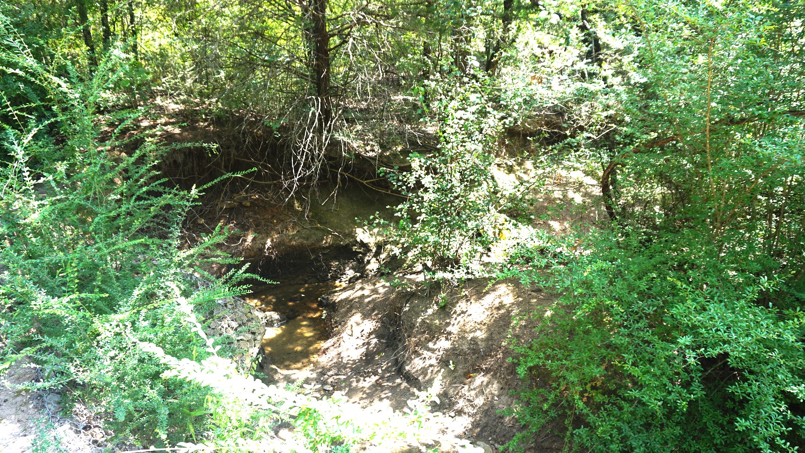 Crystal Canyon Natural Area in Arlington, Texas