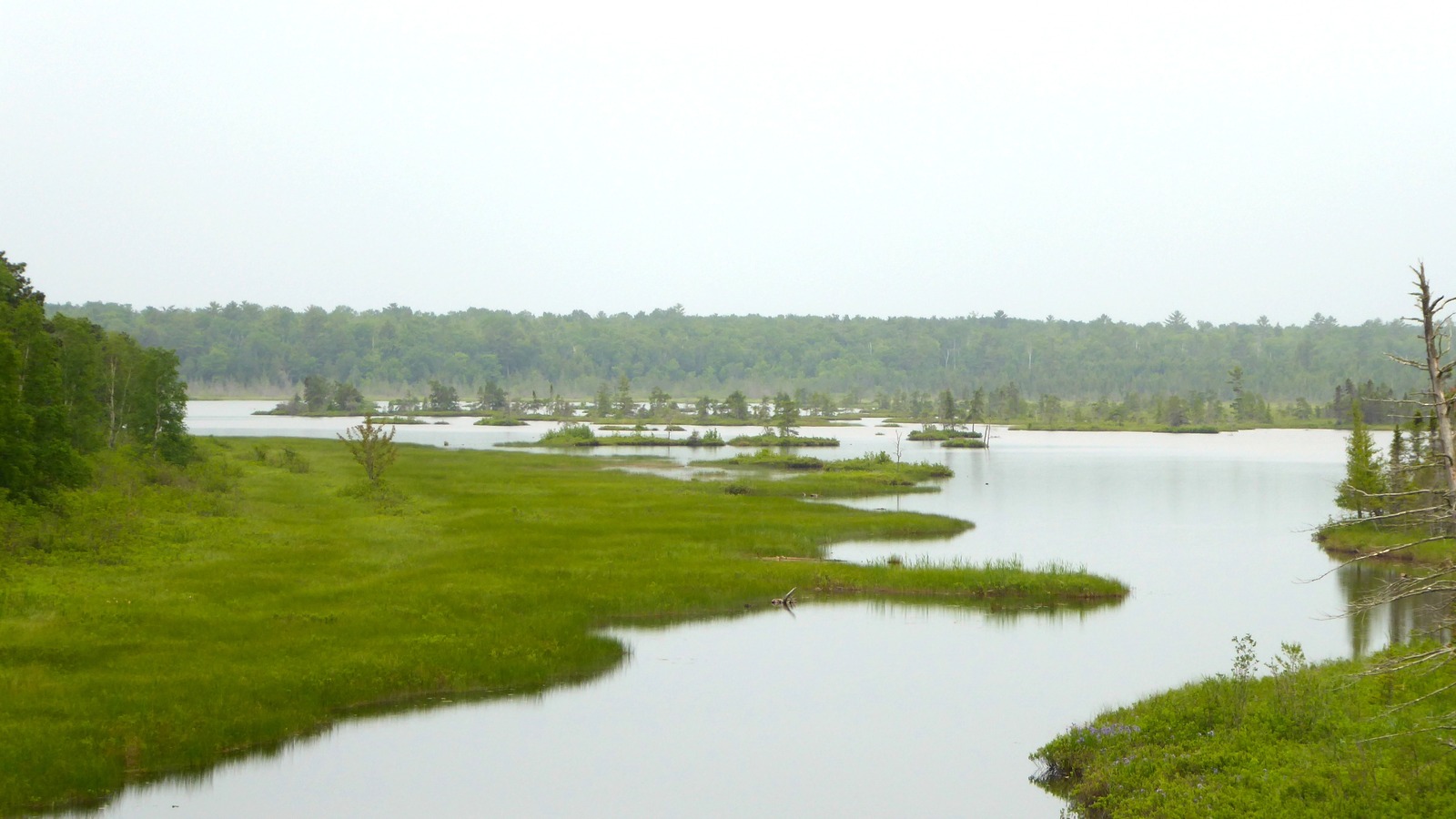 Wetland and Lake Superior landscape at Big Bay State Park