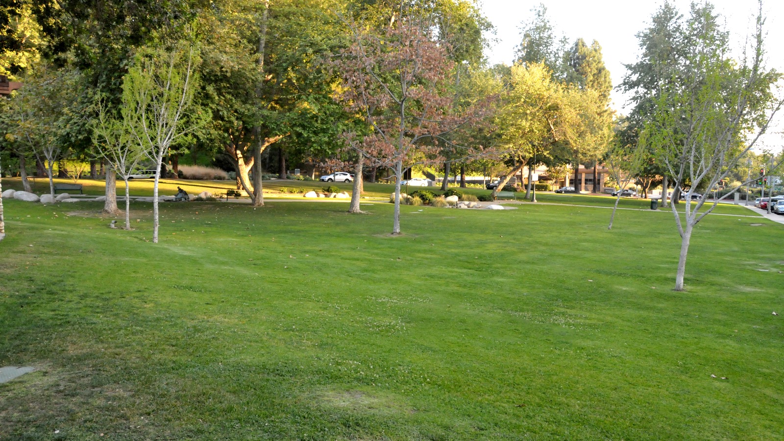 Coldwater Canyon Park in Beverly Hills