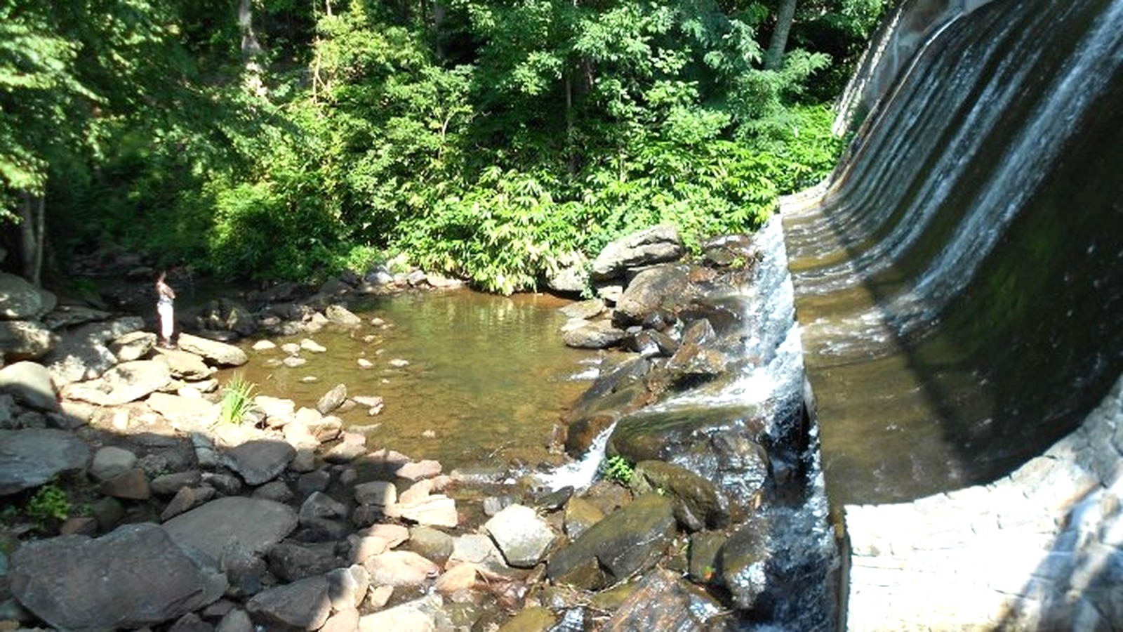 Waterfall below Lake Susan in Montreat