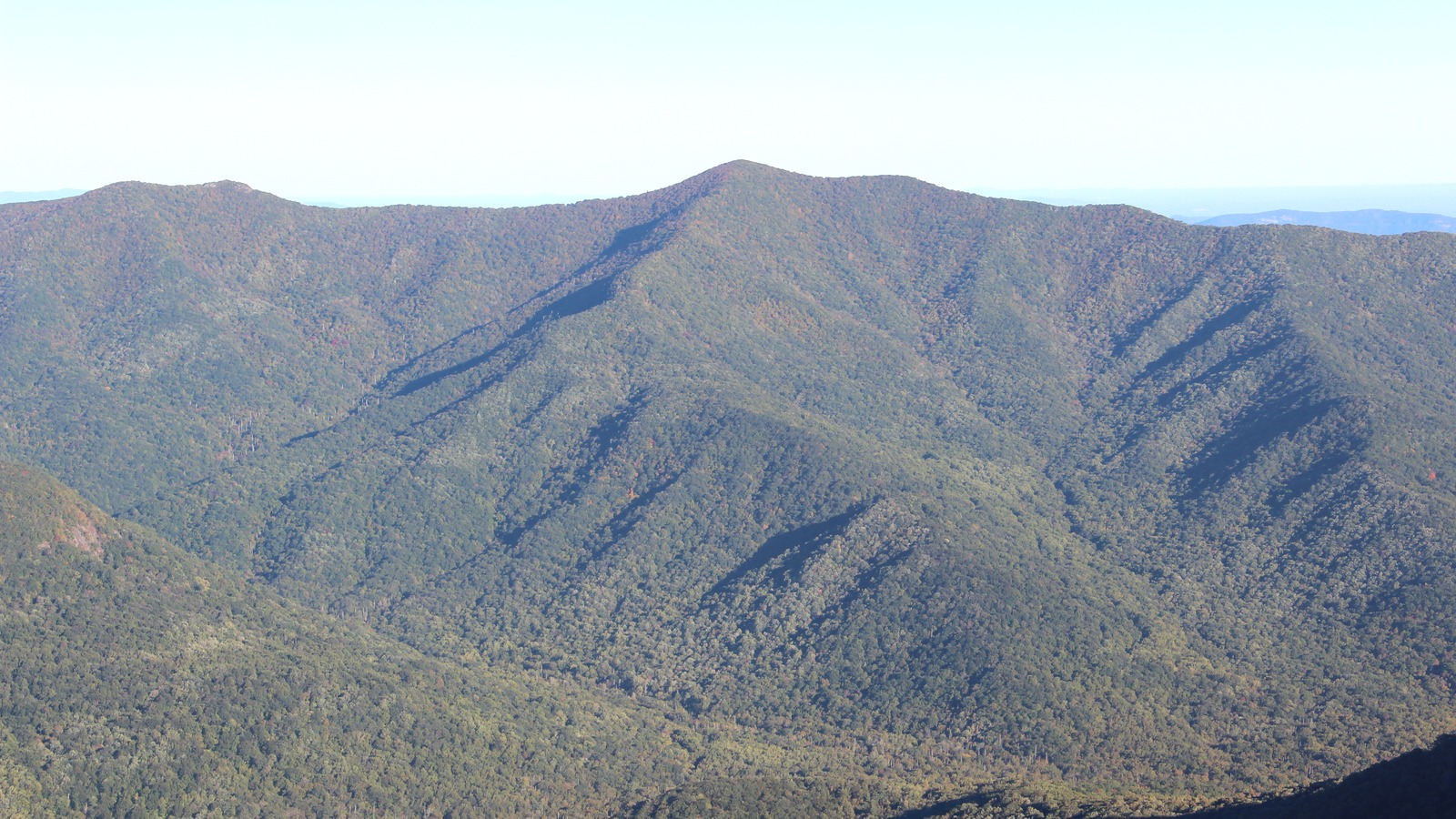 Graybeard Mountain near Montreat