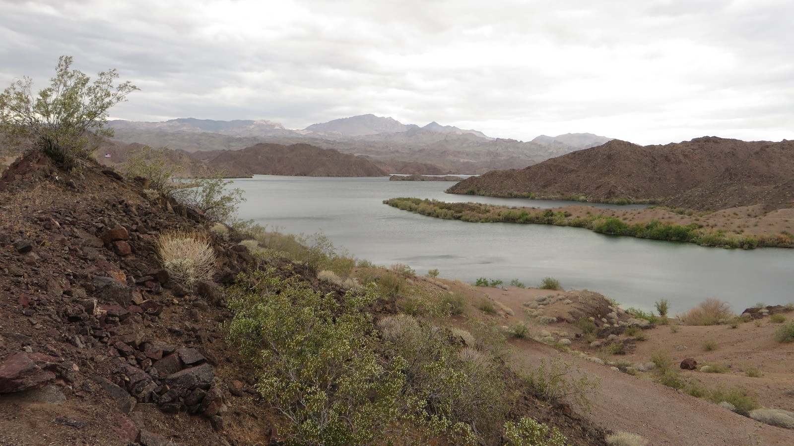 Lake Mohave near Bullhead City