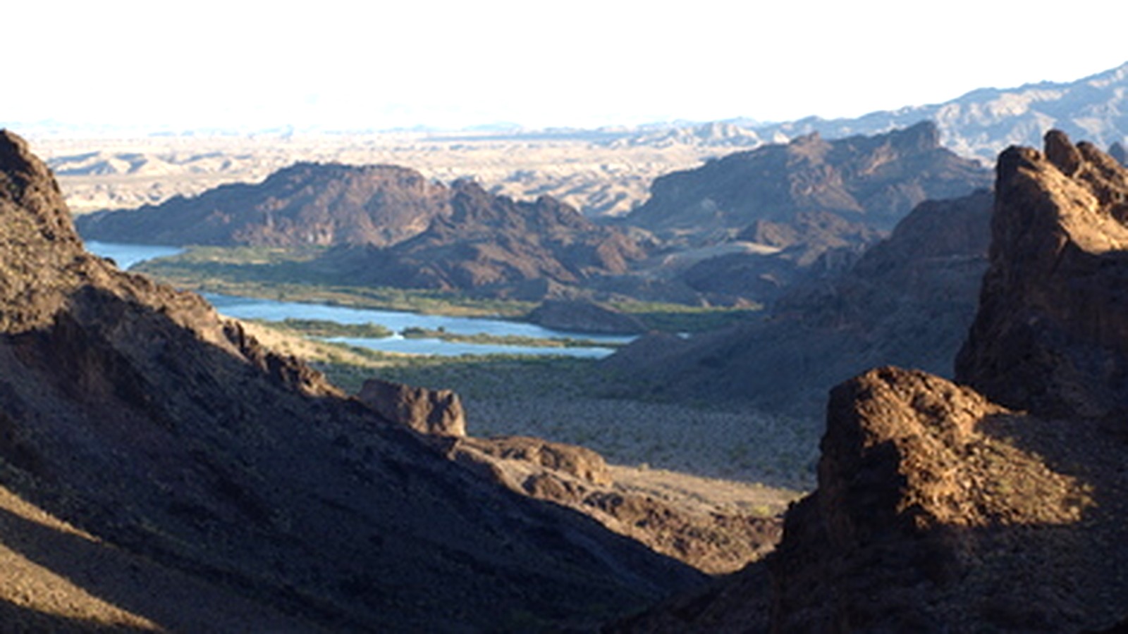 Wetland habitat at Havasu National Wildlife Refuge