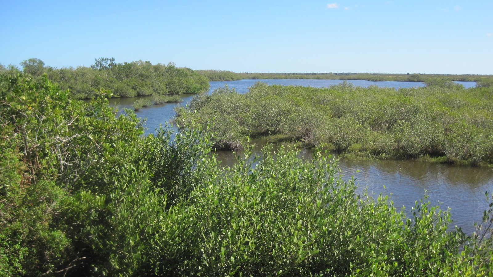 Wetland habitat at Merritt Island National Wildlife Refuge