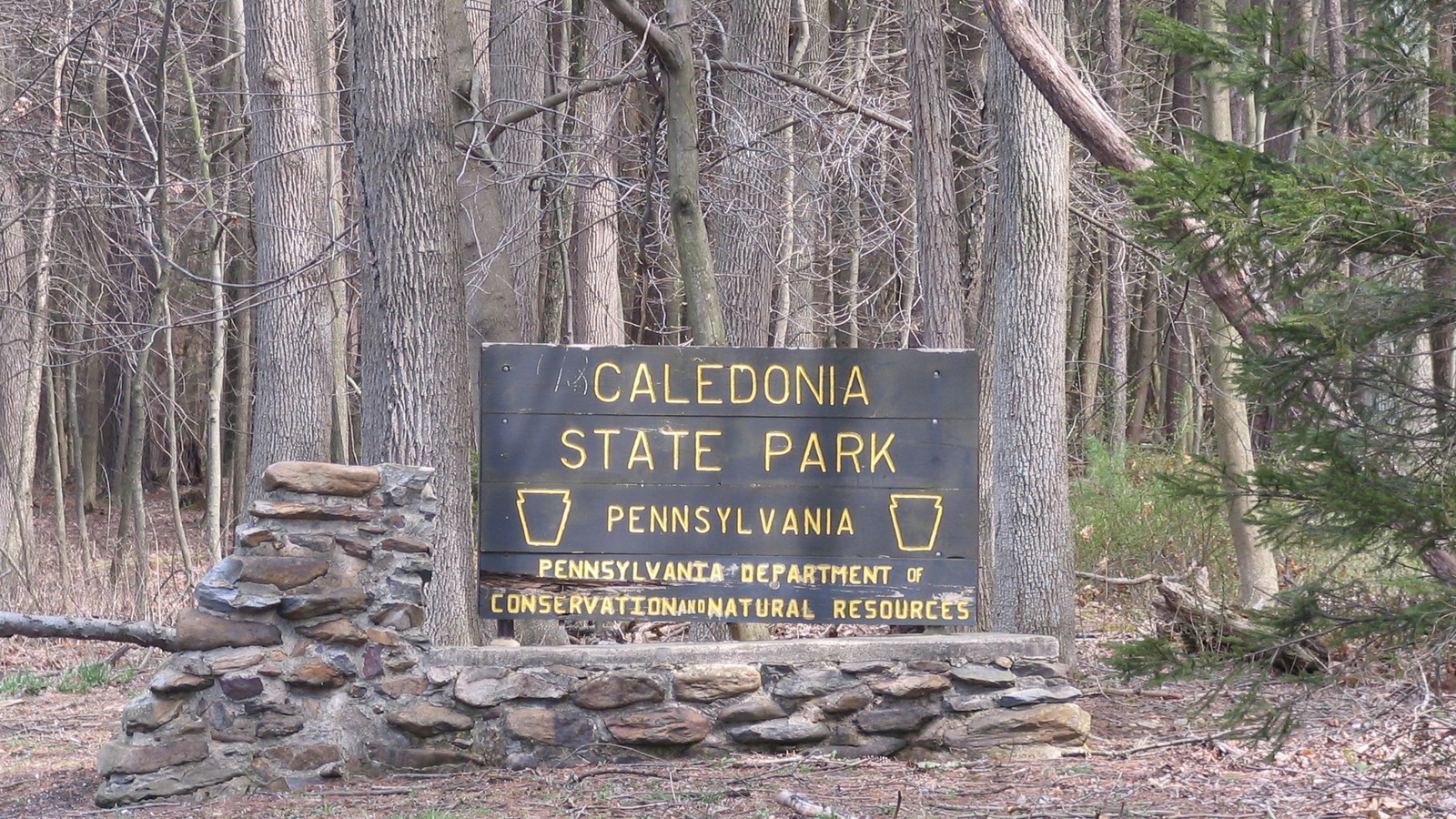 Forest landscape at Caledonia State Park