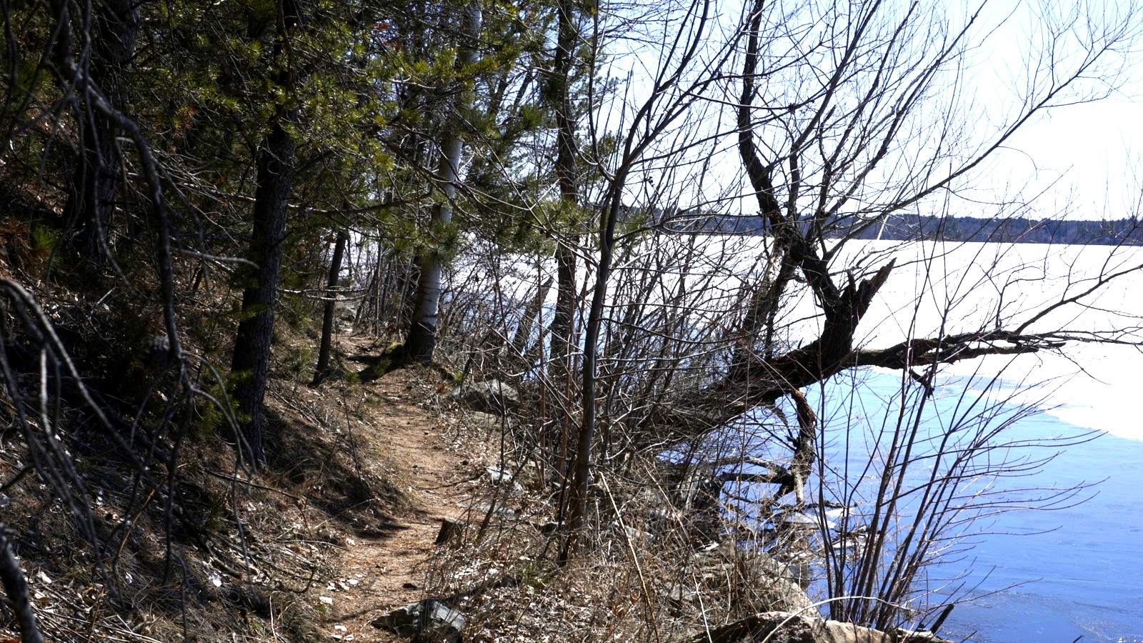 Lakeside trail through Lake Wissota State Park