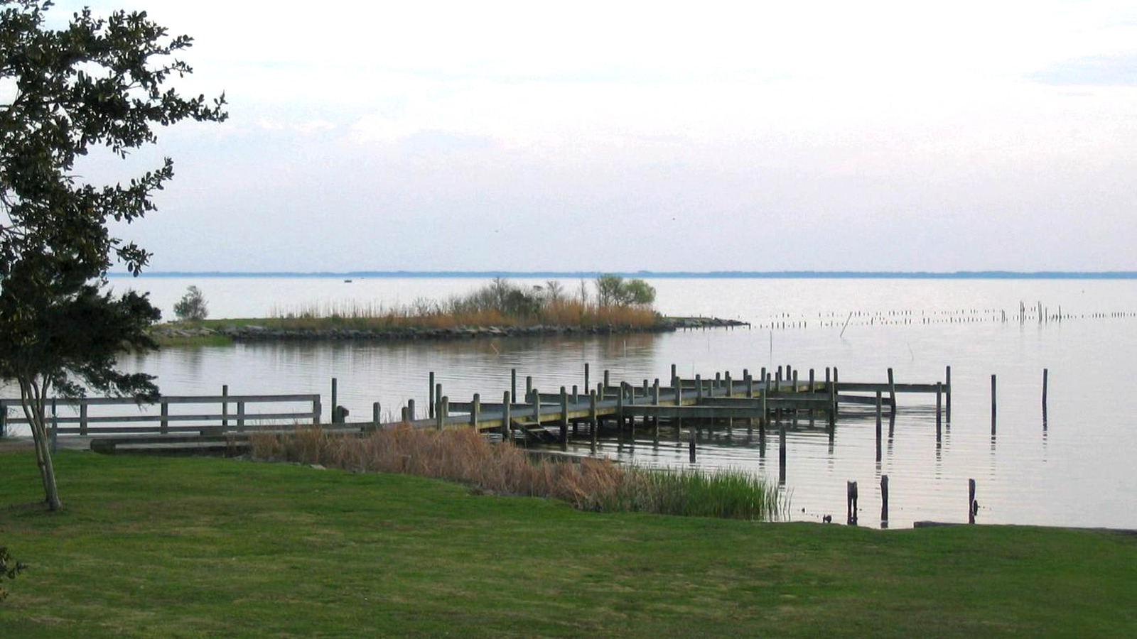 Currituck Sound shoreline