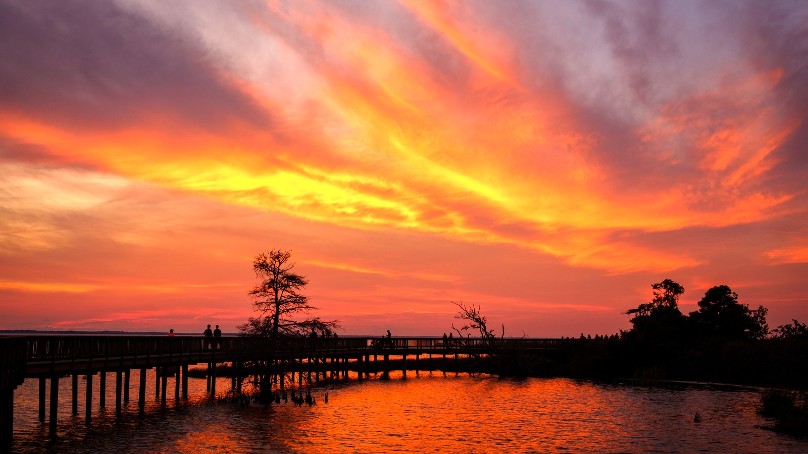 Sunset along the Duck Boardwalk