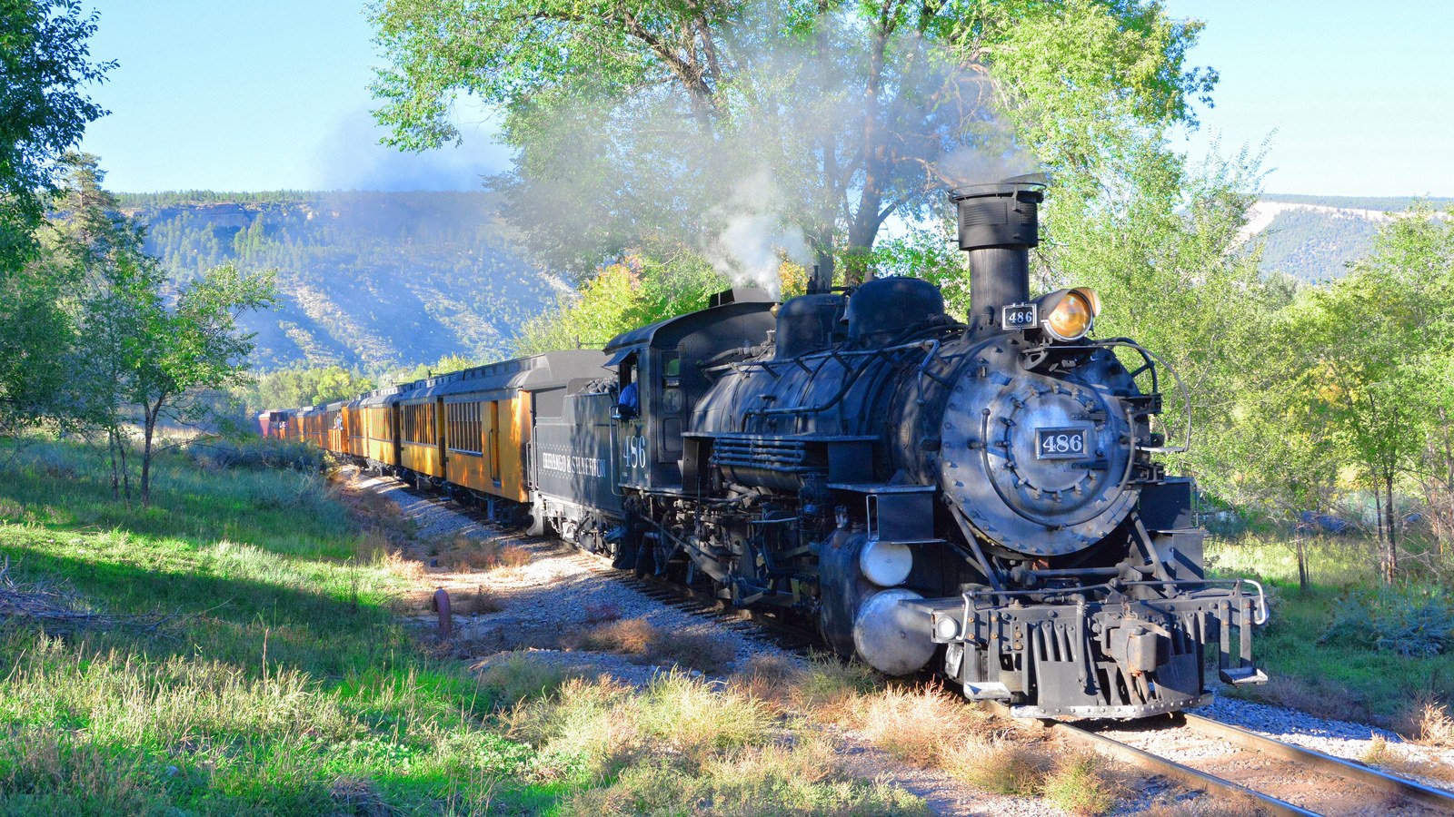 Black steam locomotive number 486 of the Durango and Silverton Narrow Gauge Railroad pulling yellow carriages through green trees below a mesa