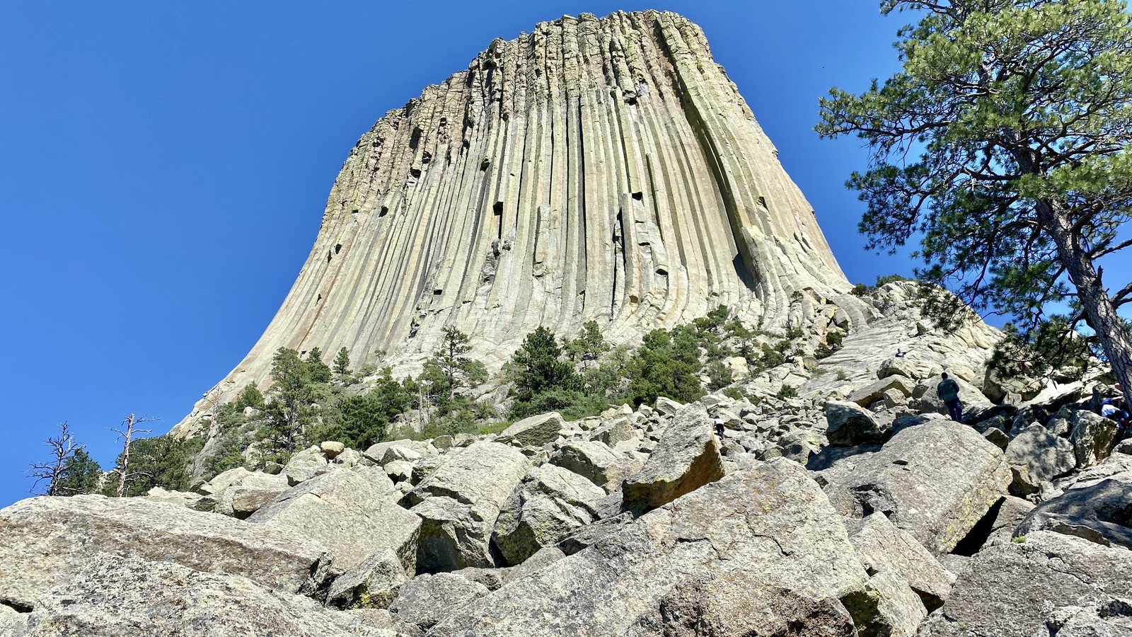 Devils Tower rising above the surrounding forest and prairie