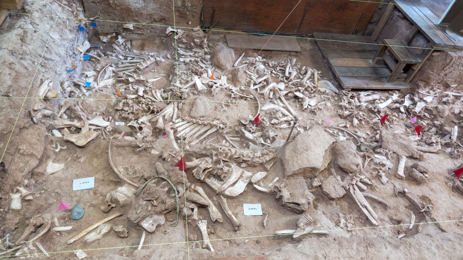 Archaeological excavation and visitor shelter at Vore Buffalo Jump