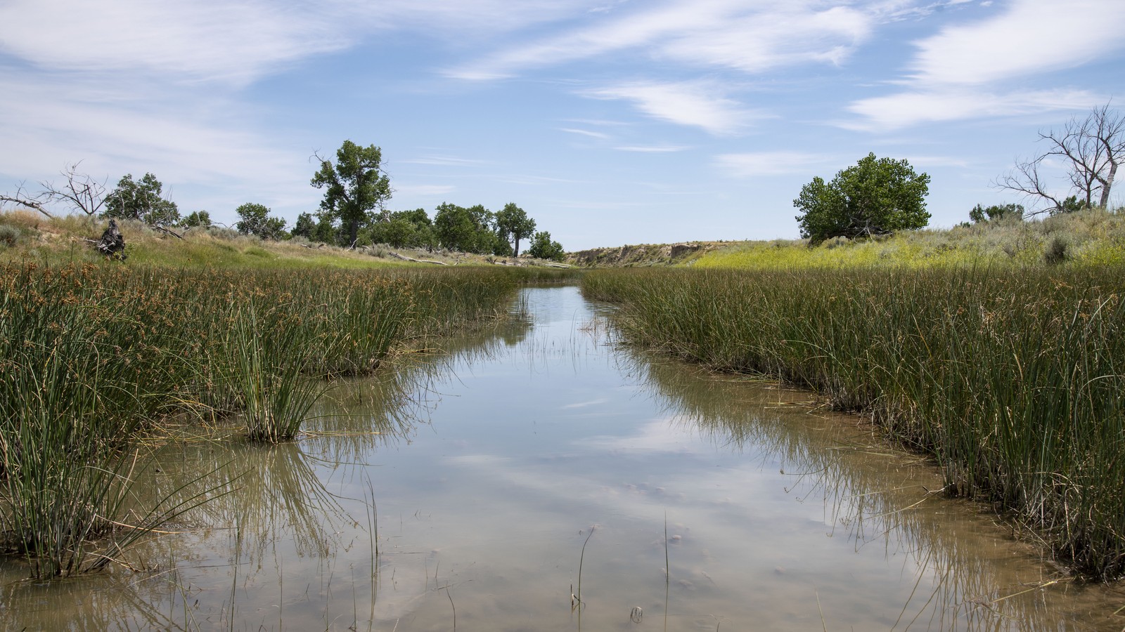Open prairie landscape within Thunder Basin National Grassland