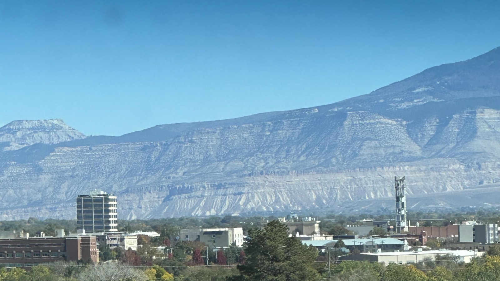 Low rise downtown Grand Junction with a single tower block, seen across trees, with the long pale escarpment of the Book Cliffs rising behind under a deep blue sky