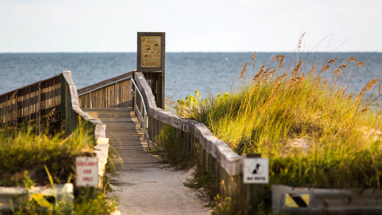 Coastal habitat at Bon Secour National Wildlife Refuge