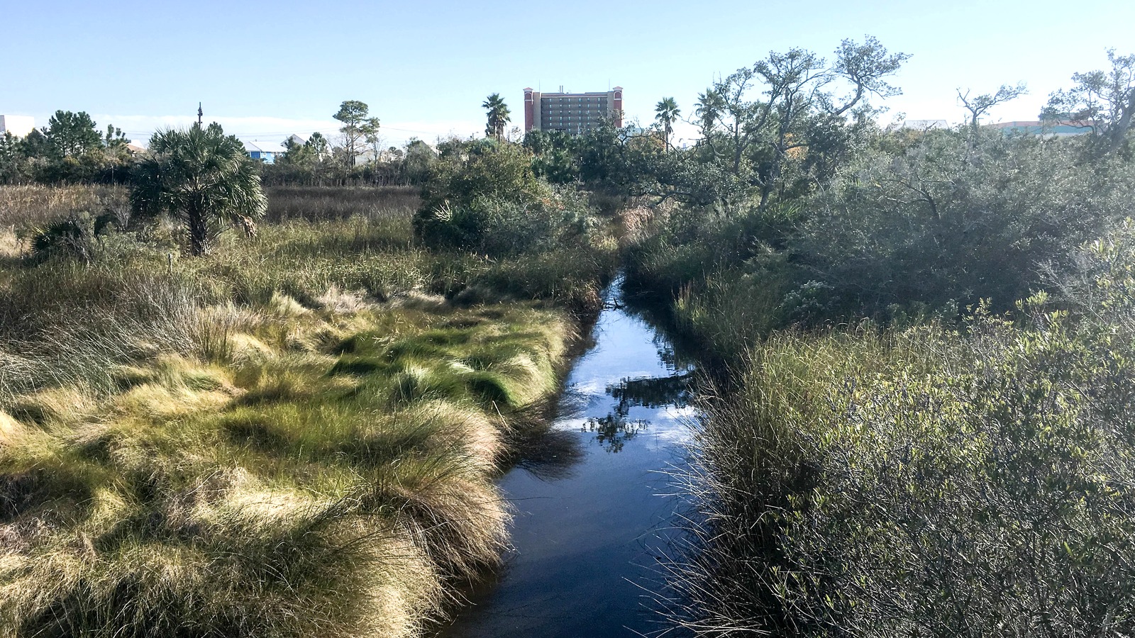 Wetland boardwalk at Wade Ward Nature Park