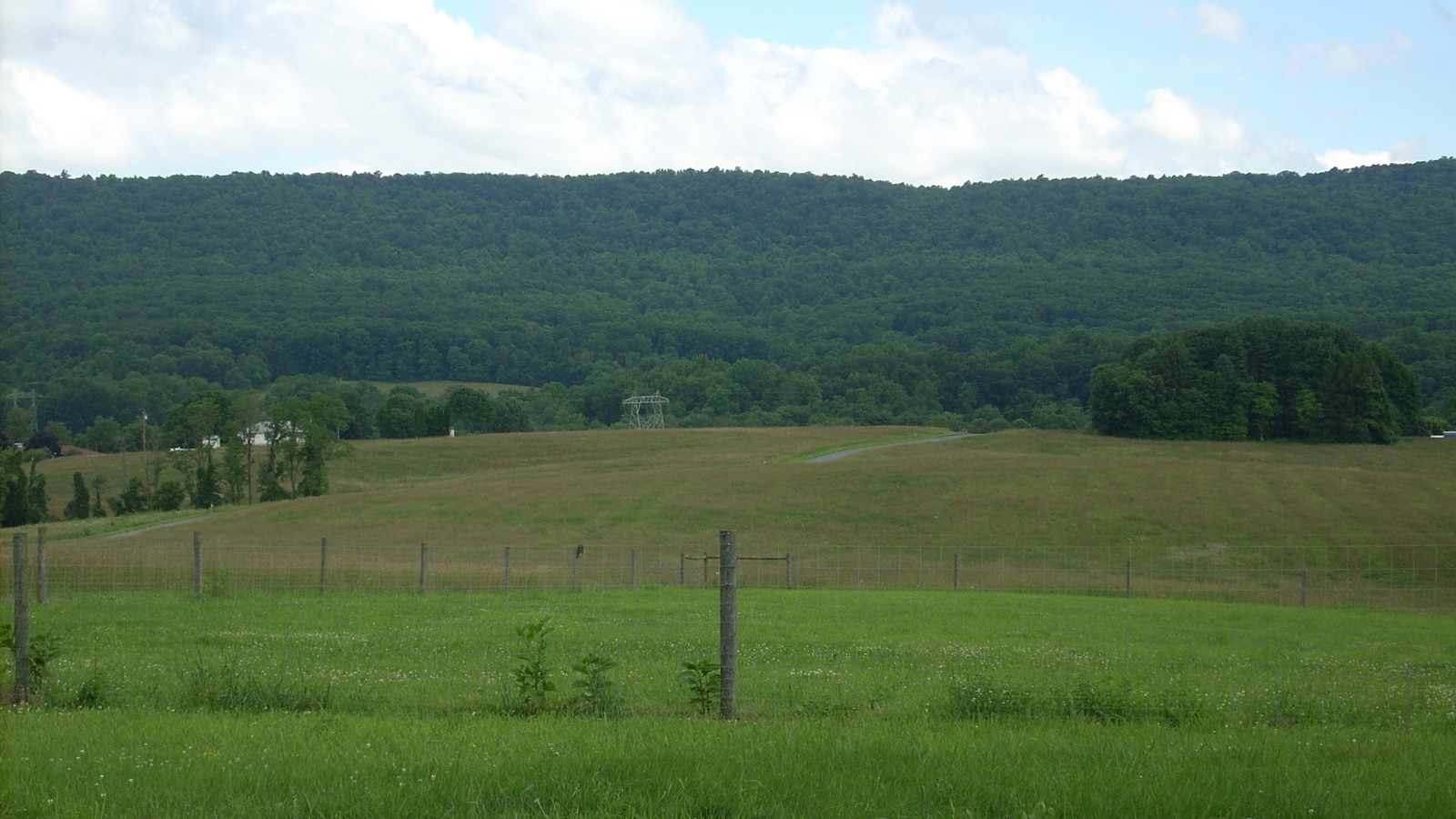 Meadow at Boyd Big Tree Preserve Conservation Area near Harrisburg
