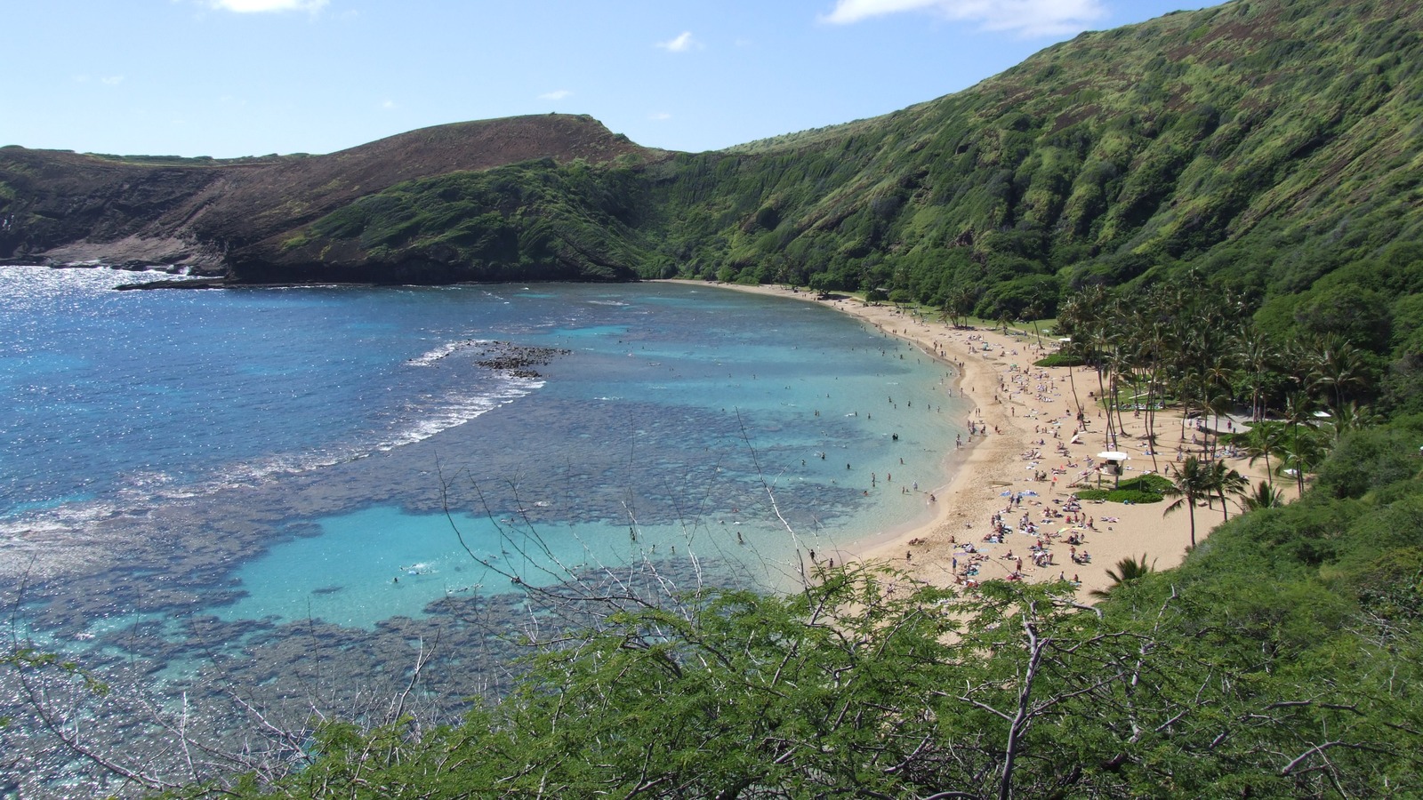 Hanauma Bay Nature Preserve and reef