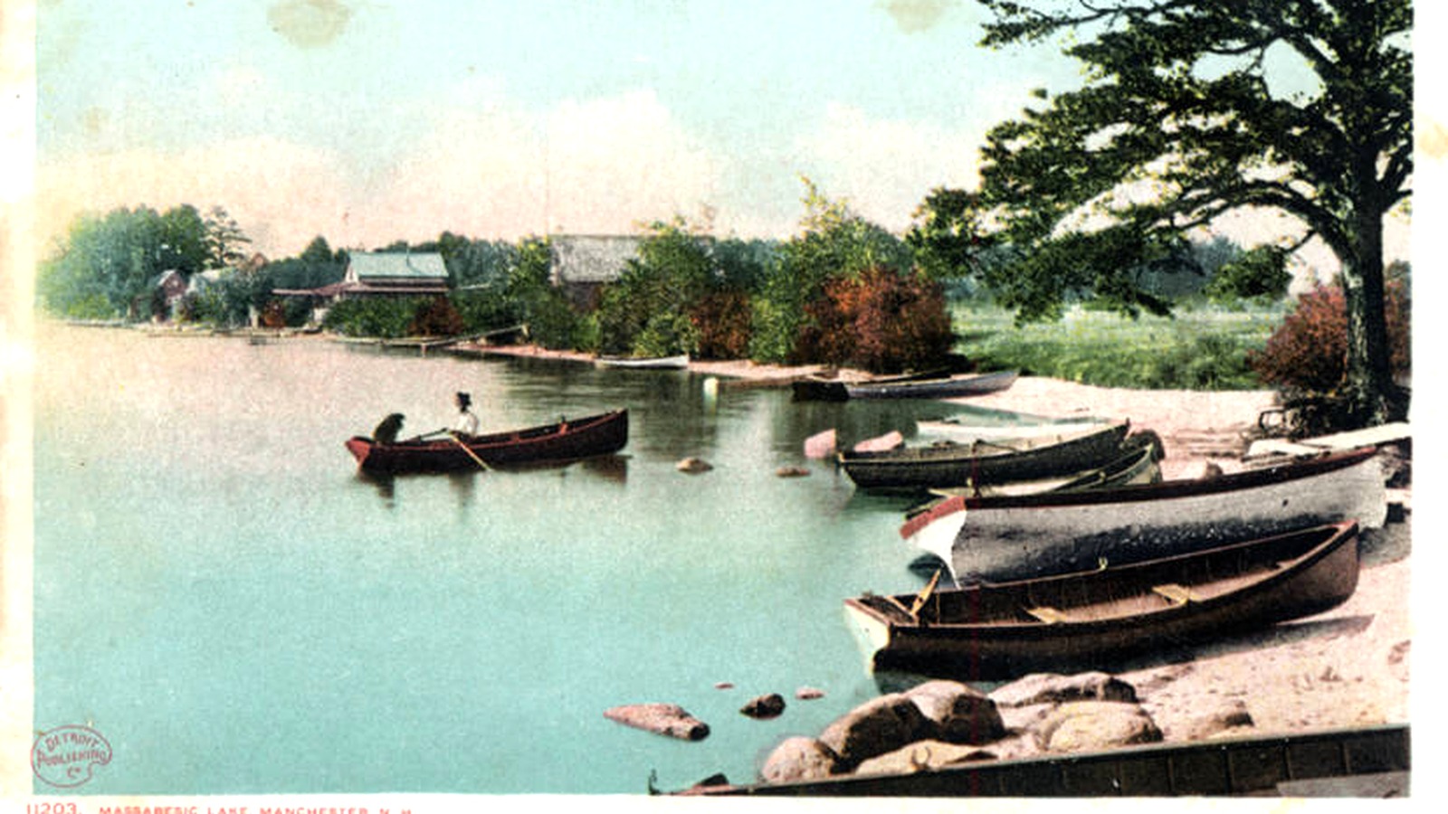 Lake Massabesic shoreline
