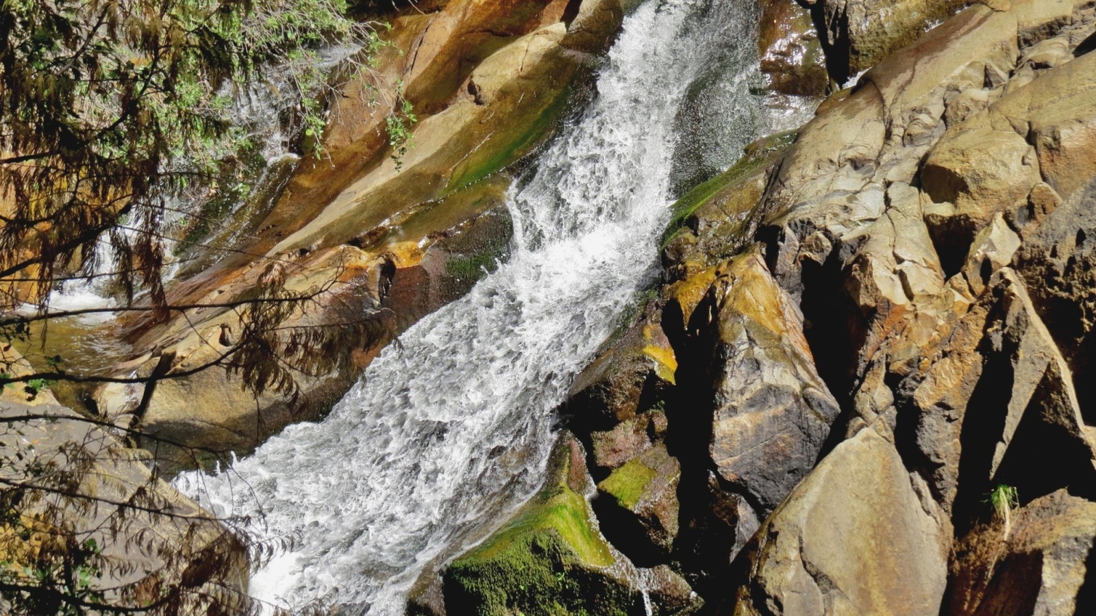 Lewis Creek waterfall and forest trail north of Oakhurst
