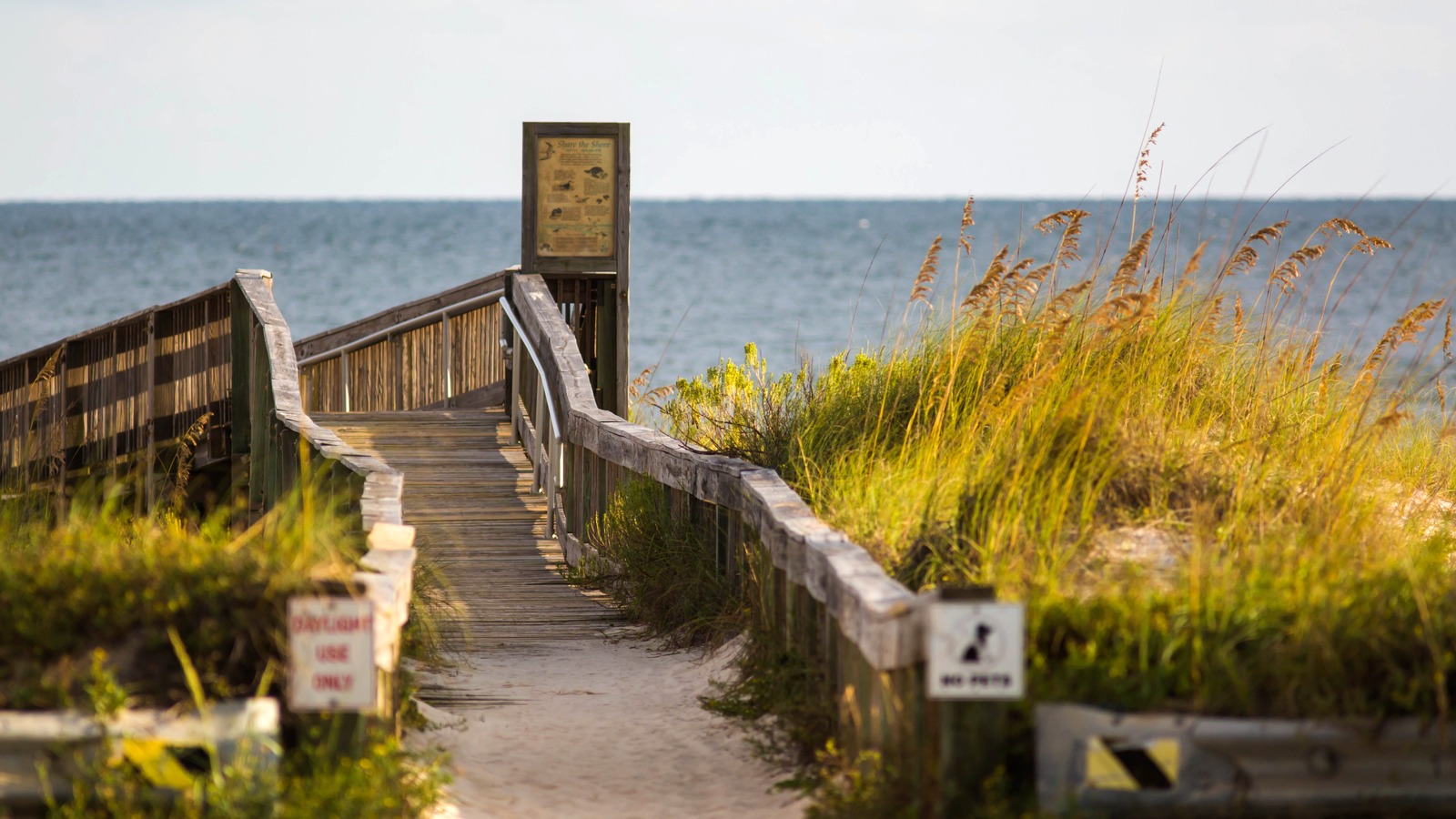 Coastal habitat at Bon Secour National Wildlife Refuge