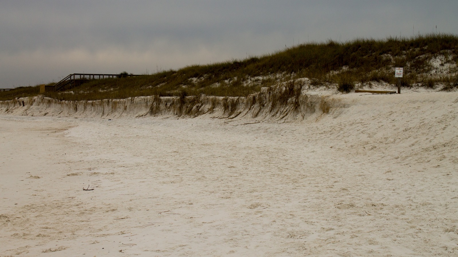Protected dune and white-sand beach at St. Andrews State Park
