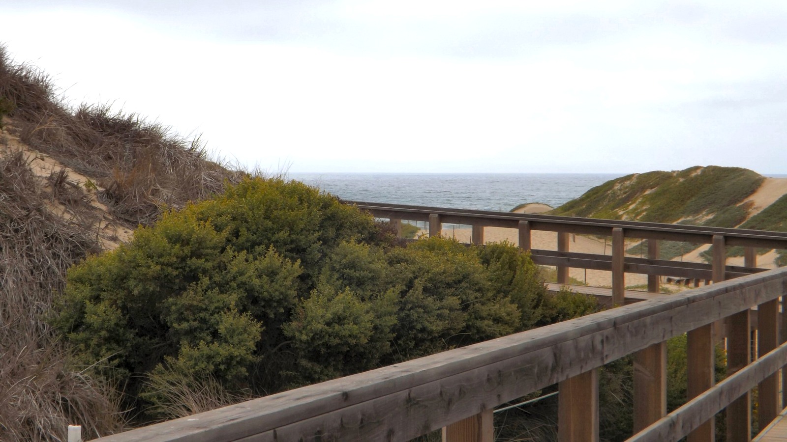 Coastal sand dunes at Oceano Dunes SVRA