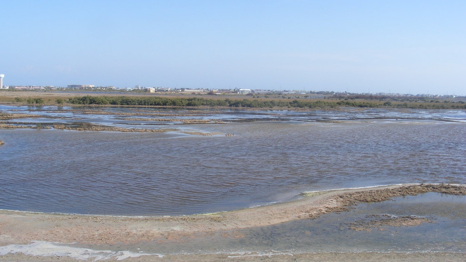 Trail through Port Aransas Nature Preserve