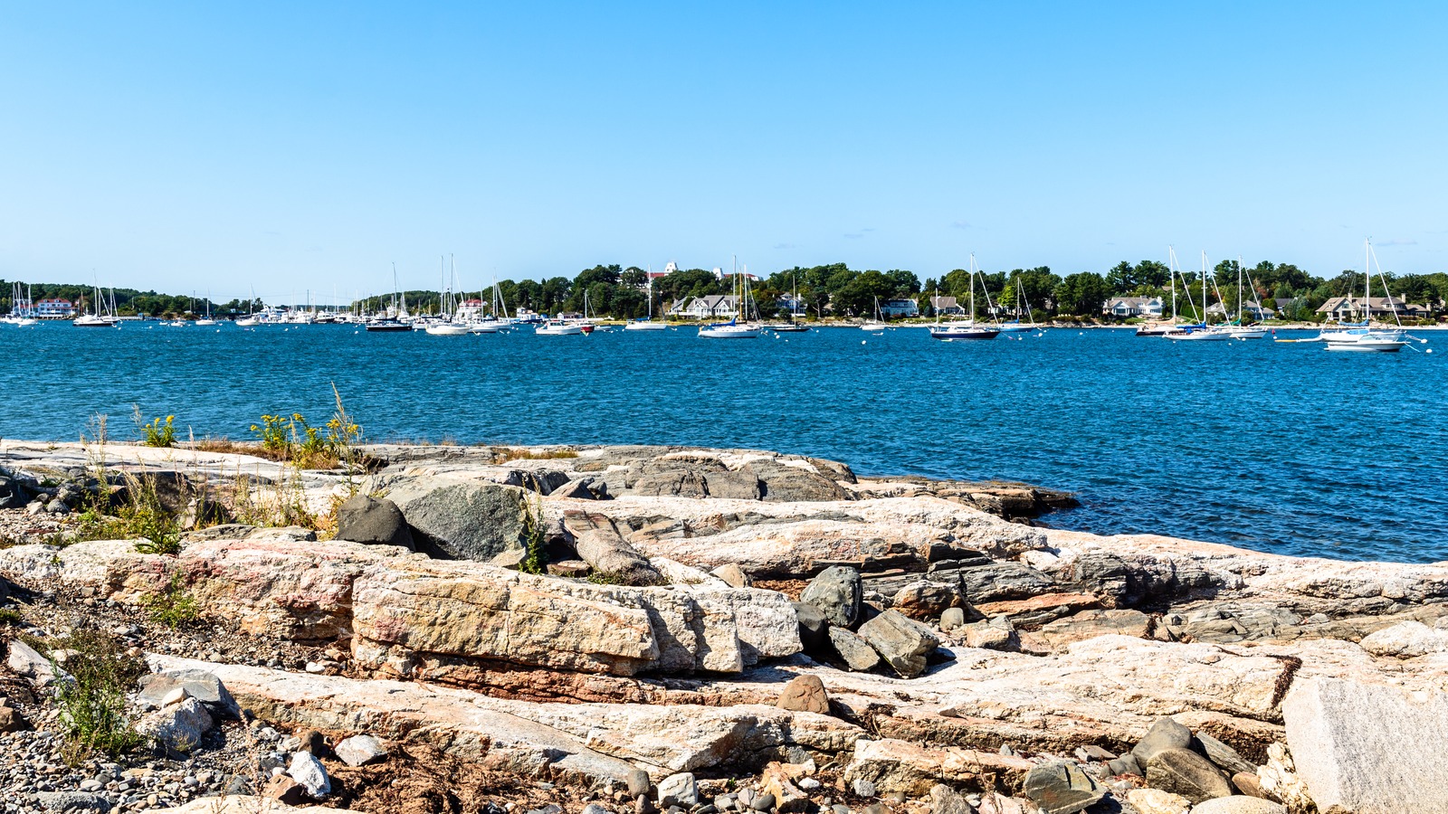 Rocky shoreline at Odiorne Point State Park