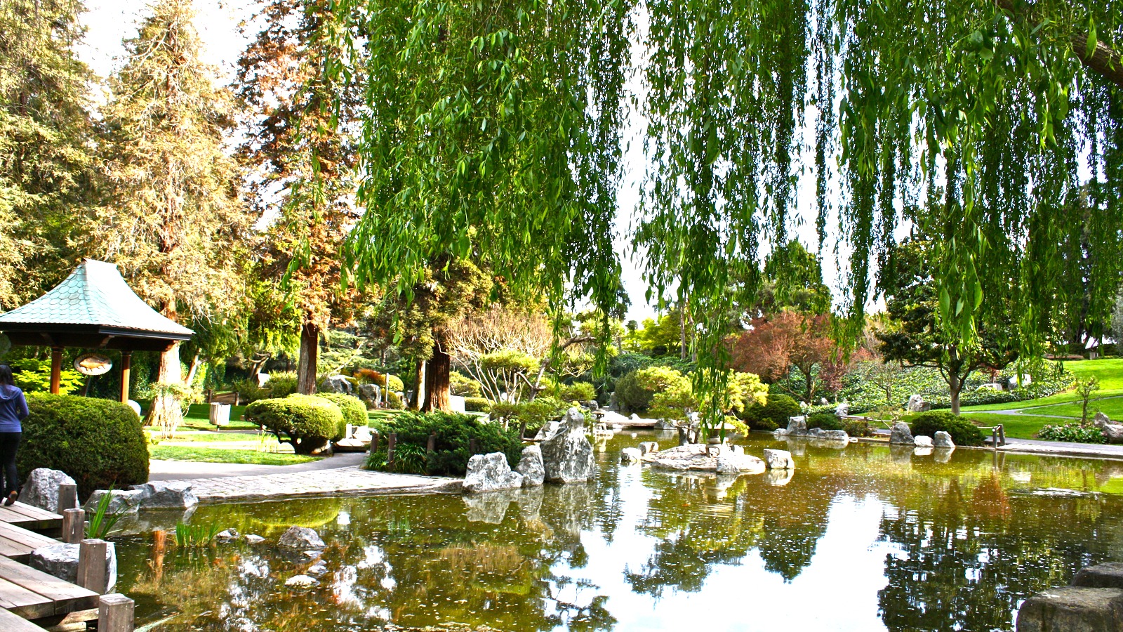 Lower pond at the Japanese Friendship Garden in San Jose