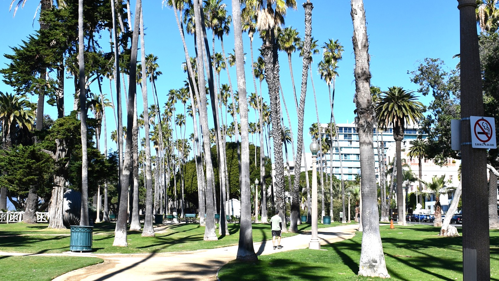 Palm-lined path in Palisades Park above Santa Monica Bay