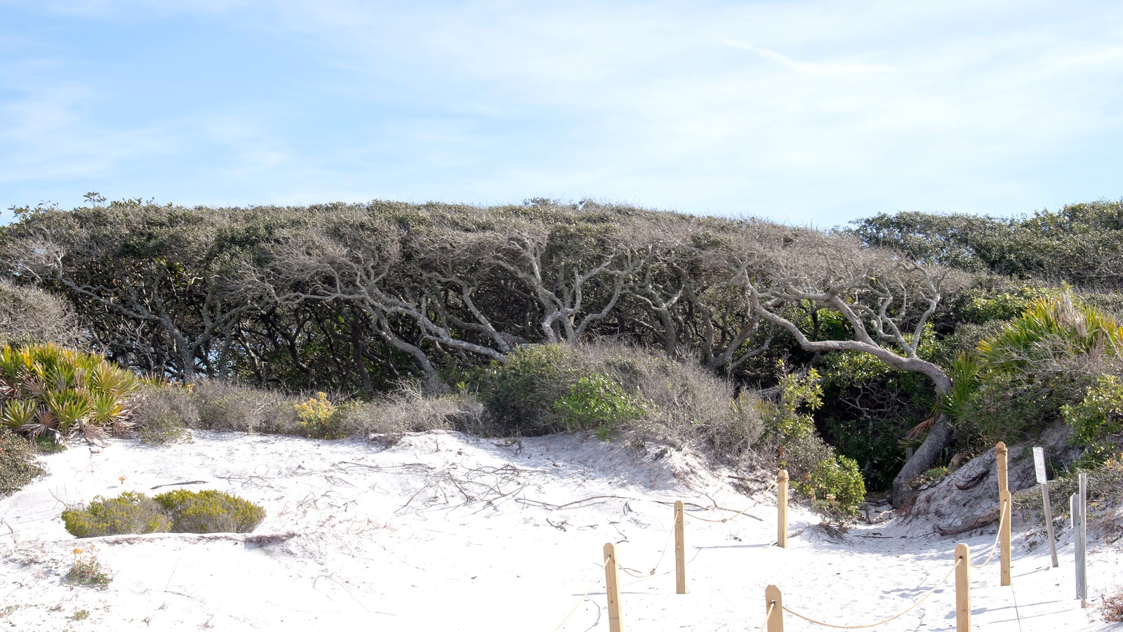 Dune trail at Grayton Beach State Park