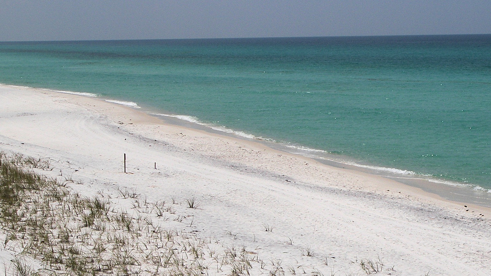 Sugar white Gulf beach at Grayton Beach State Park near Santa Rosa Beach