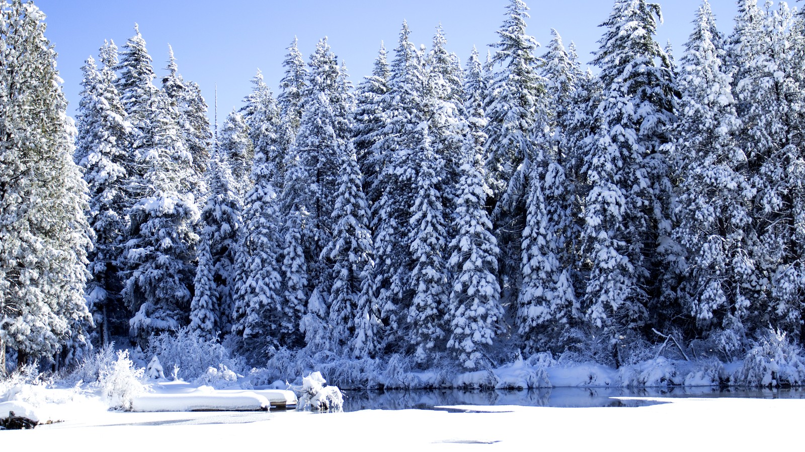 Suttle Lake surrounded by forest near Sisters