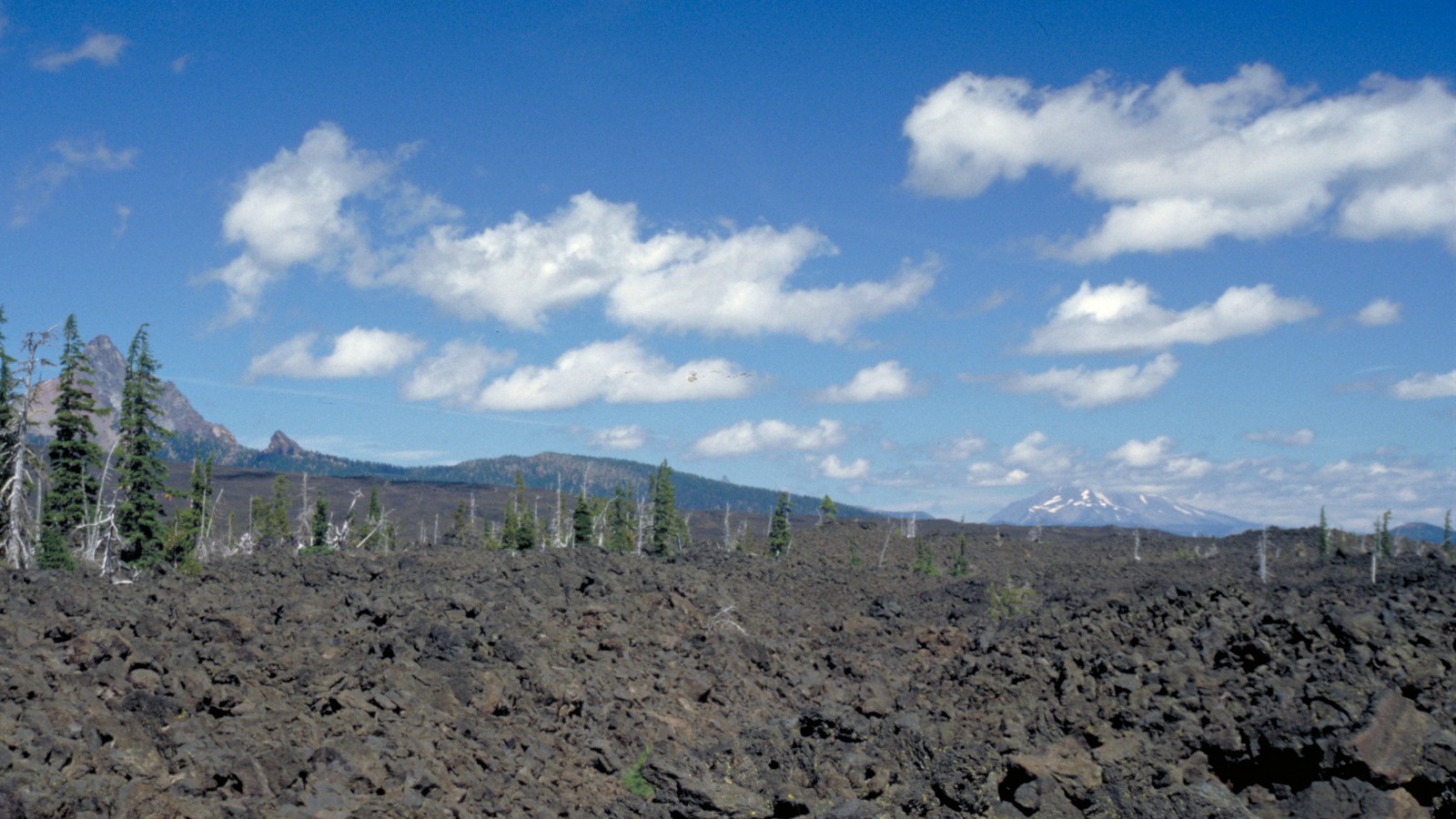 Lava landscape along the McKenzie Pass Scenic Byway
