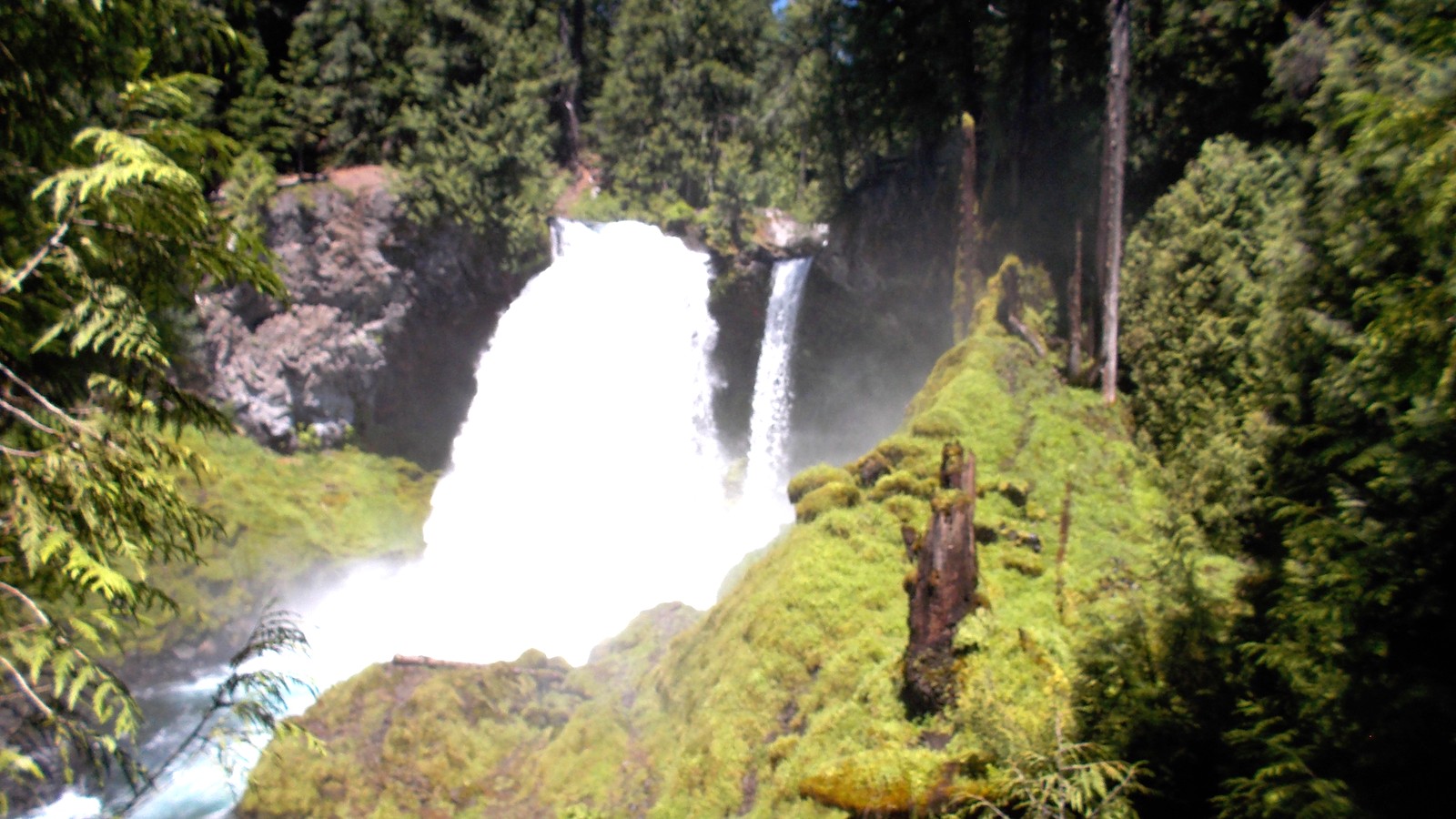 Sahalie Falls dropping over basalt beside the McKenzie River