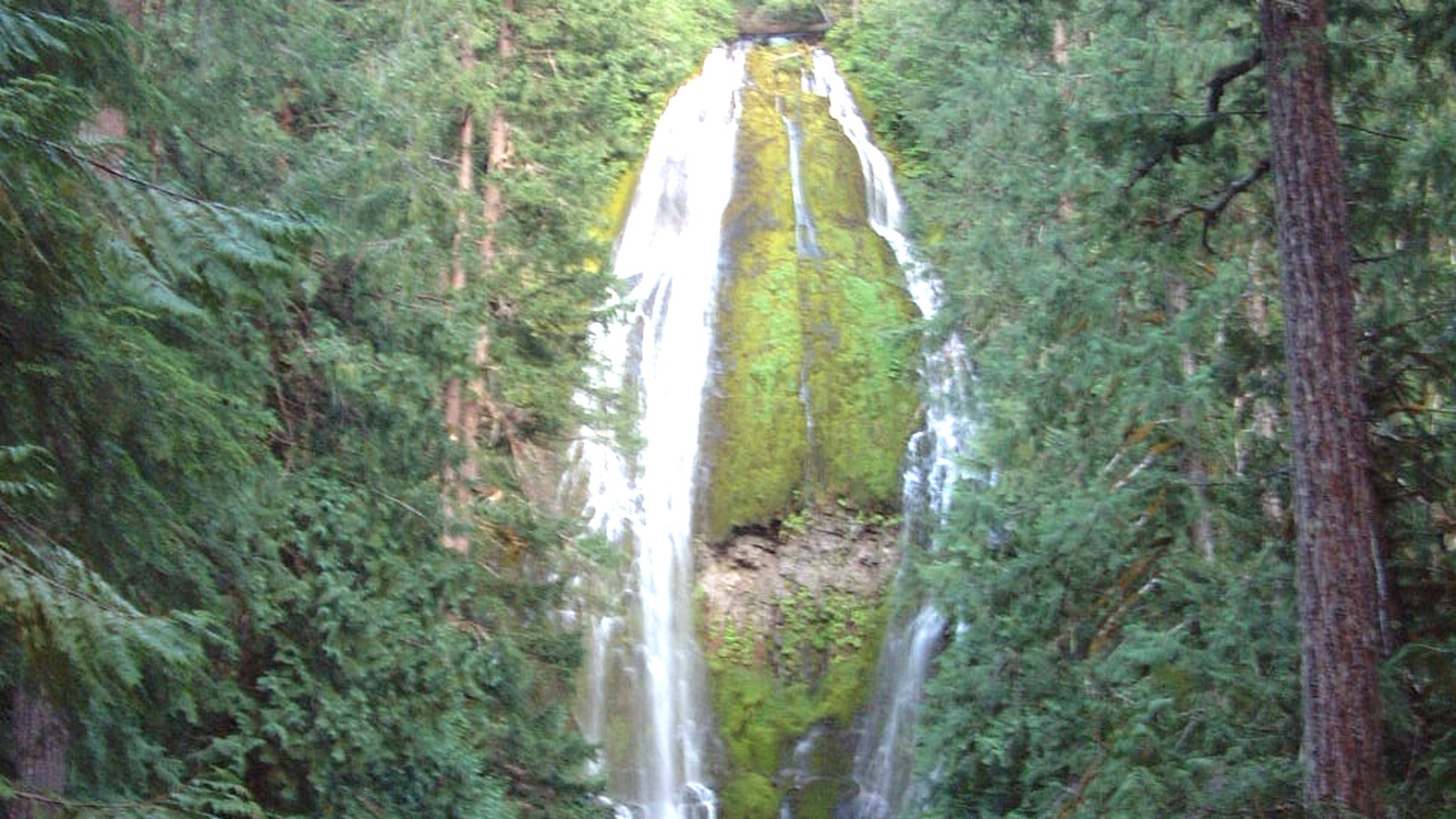 Proxy Falls flowing over mossy volcanic rock