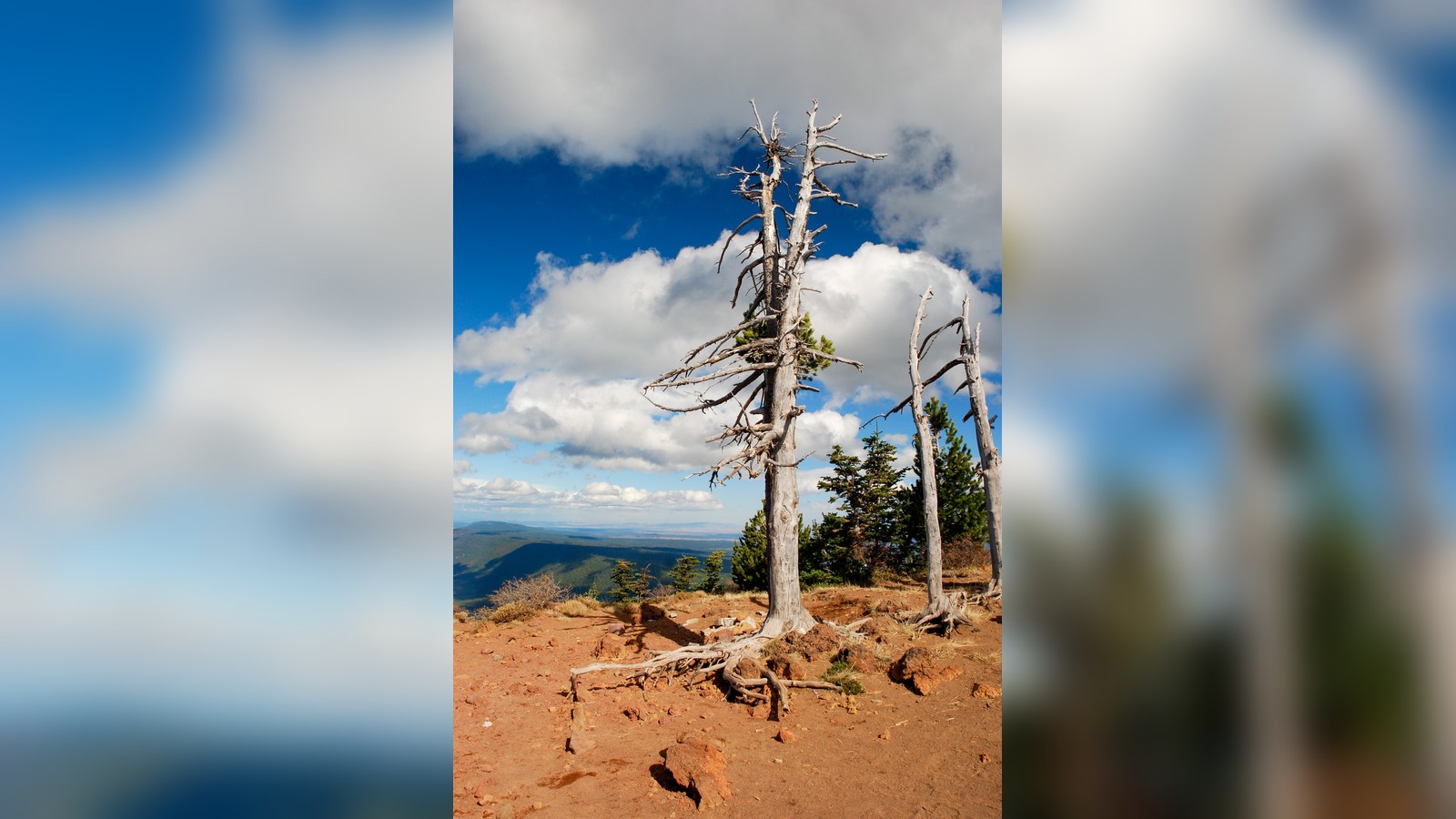 Cascade view from Black Butte near Sisters