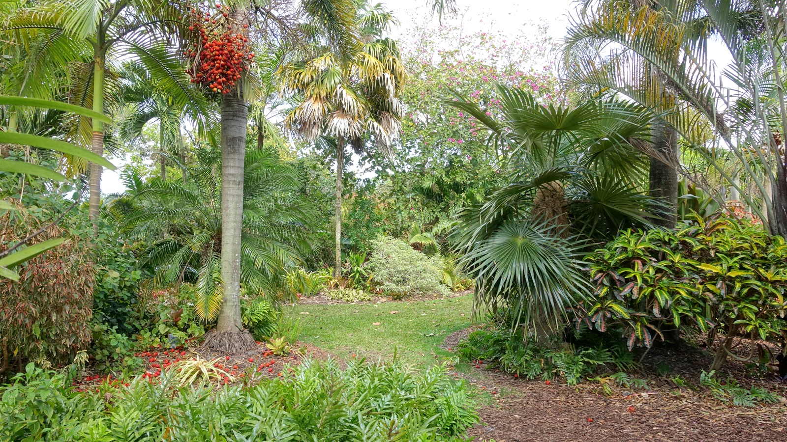 Tropical plant collections at Mounts Botanical Garden