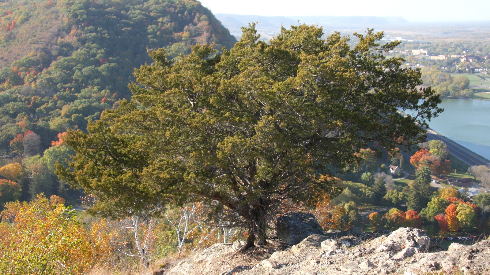 Garvin Heights overlook above Winona and the Mississippi River valley