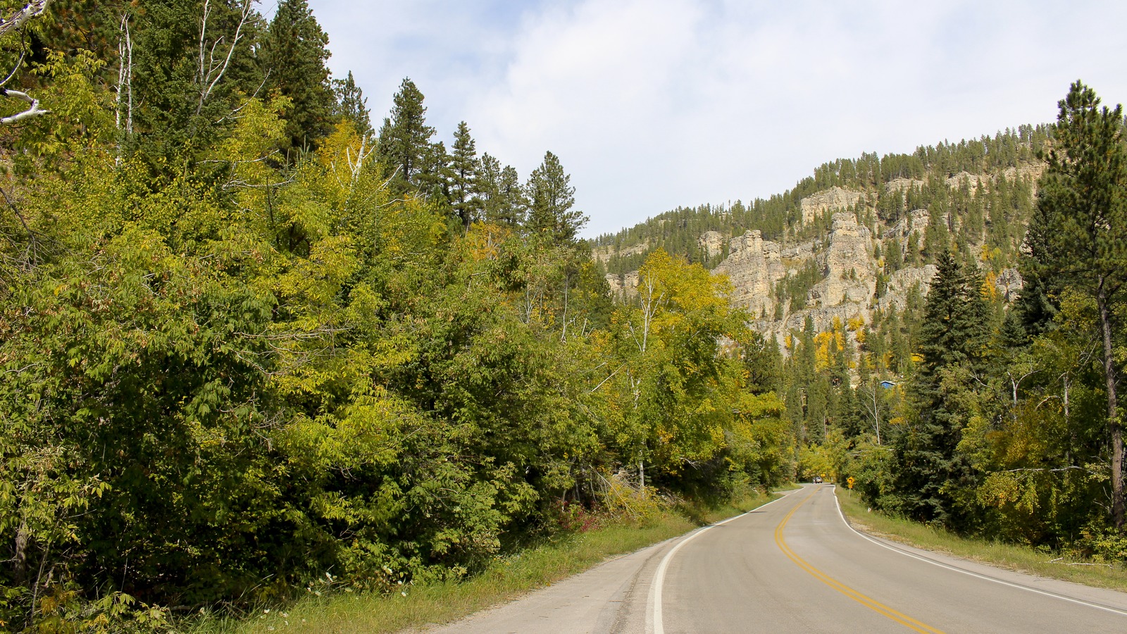 The paved byway curves between limestone walls and autumn trees in Spearfish Canyon, South Dakota