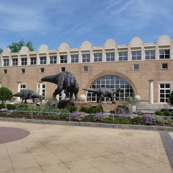 Fernbank Museum of Natural History, Atlanta