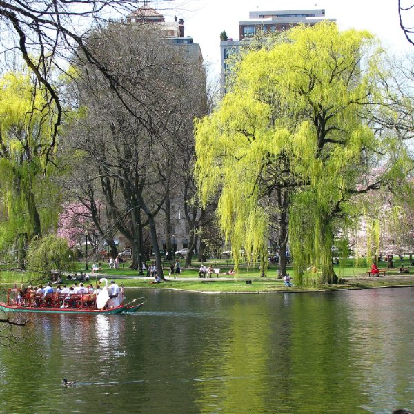 Boston Common and the Public Garden, Boston